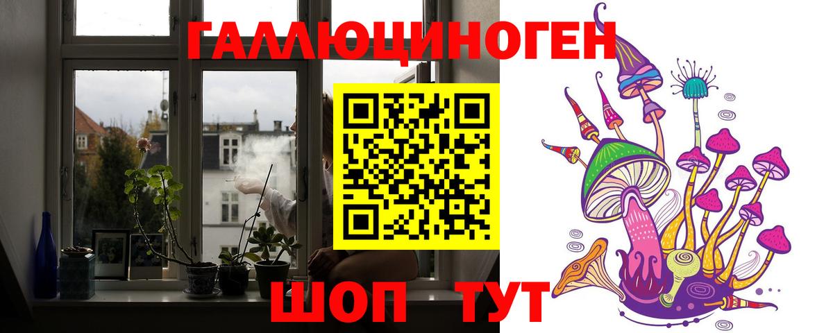 Псилоцибиновые грибы GOLDEN TEACHER  Вход с VPN  Симферополь 
